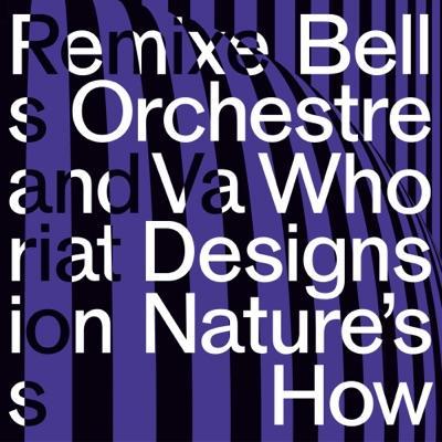 Erased Tapes 十五 - Bell Orchestre