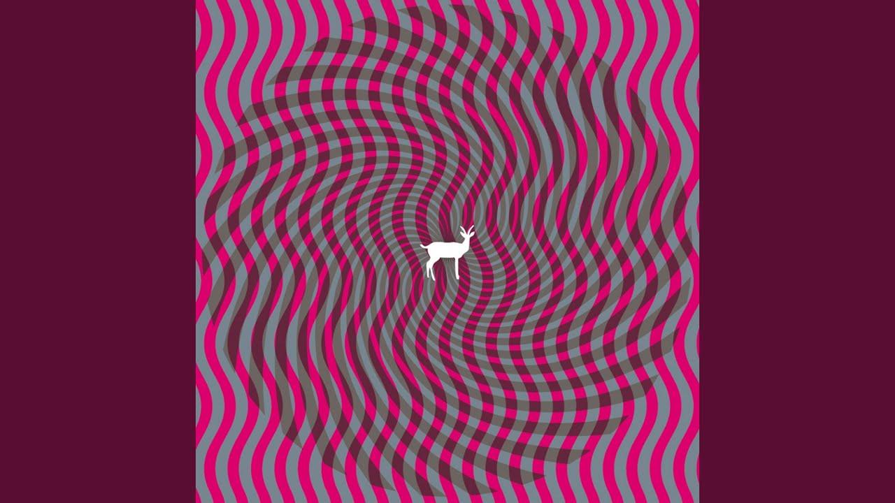 Cryptograms - Deerhunter