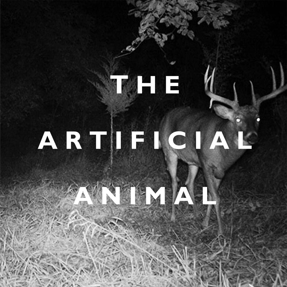 THE ARTIFICIAL ANIMAL - BROKEN ENGLISH CLUB - DEATH & LEISURE