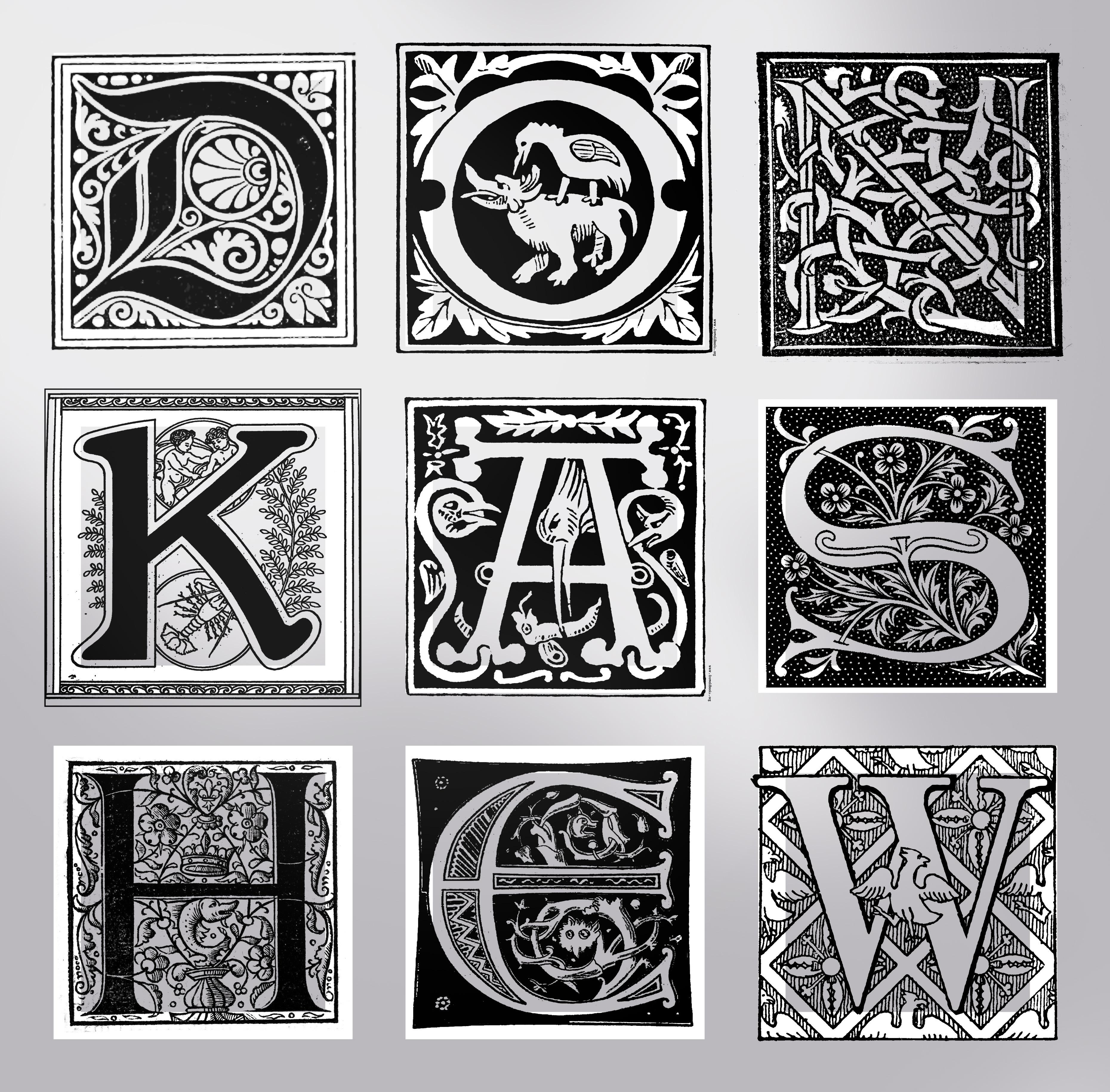 Bellows - Don Kashew