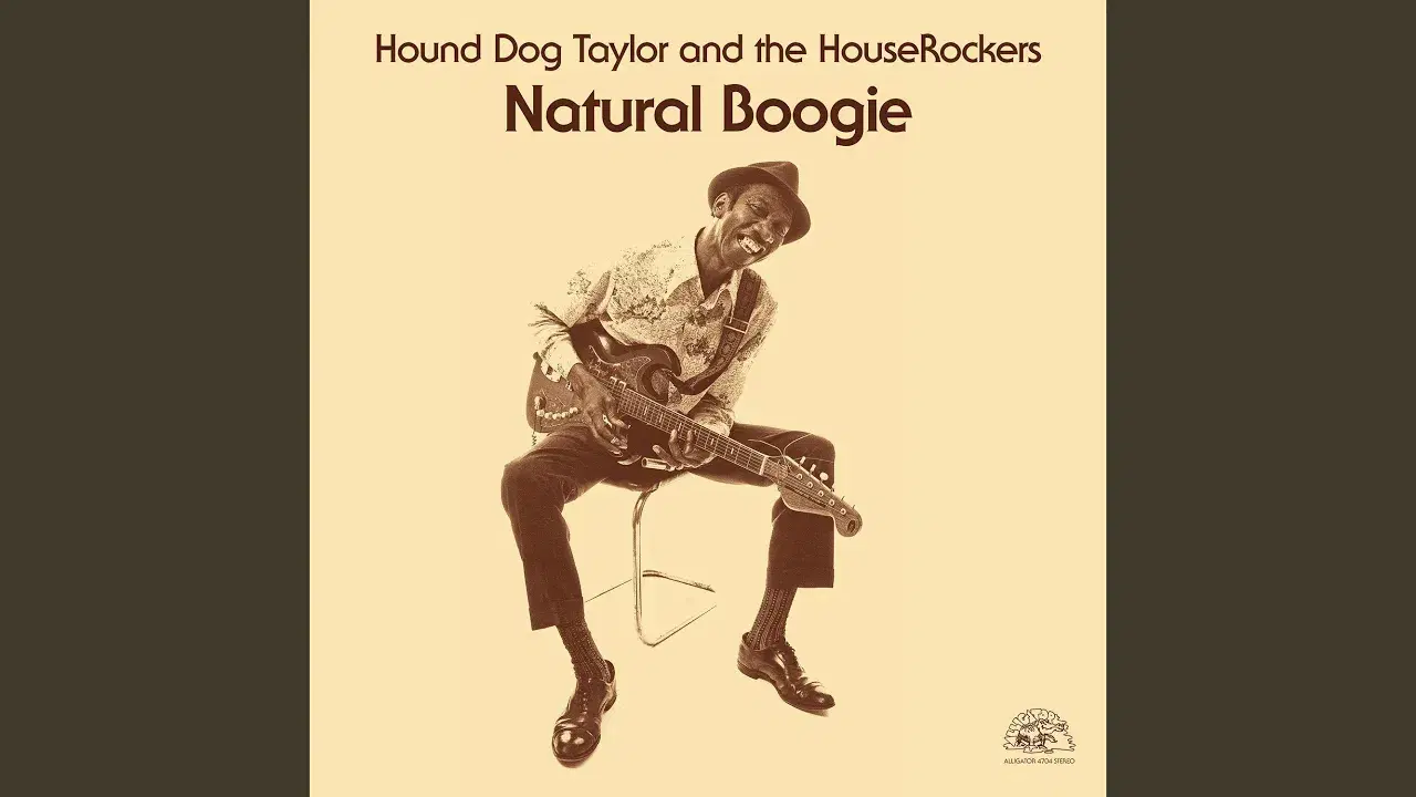 Deluxe Edition - Hound Dog Taylor & The Houserockers
