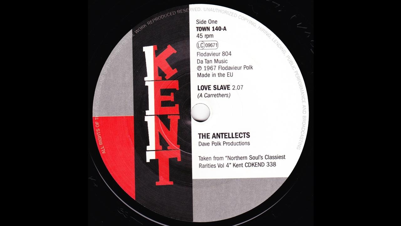  - The Antellects
