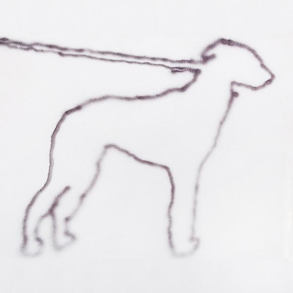 portrait of a dog (Innovative Leisure) BBNG production - Jonah Yano