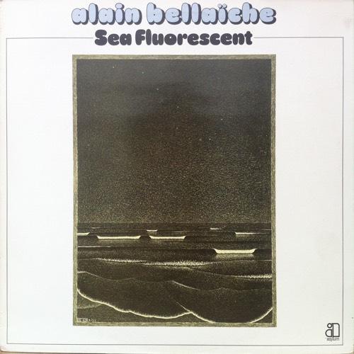 Sea Fluorescent - Alain Bellaïche