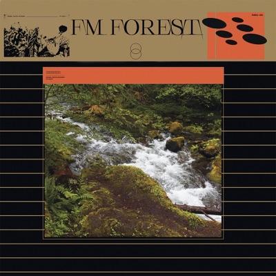 Universe - FM Forest