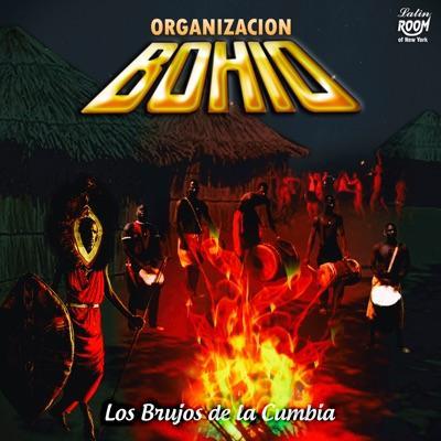 2024-08-02 1500 - Organizacion Bohio