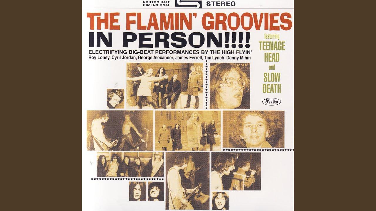  - Flamin' Groovies