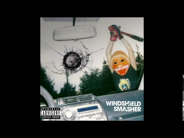 Windshield Smasher - Black Moth Super Rainbow