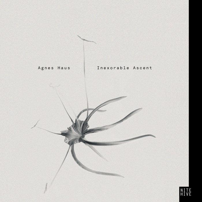 Inexorable Ascent - Agnes Haus