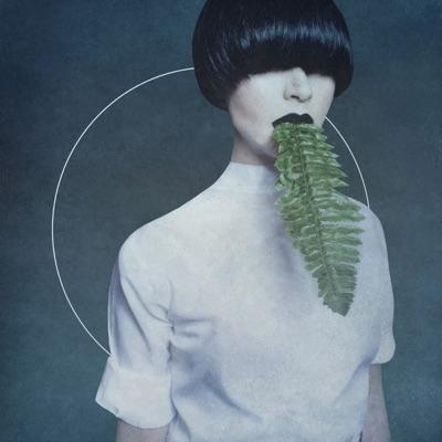 Cory Arcane - Kangding Ray