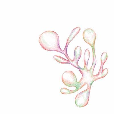 Plants Can Dance - Jason Singh
