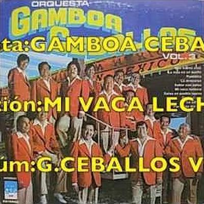  - Gamboa Ceballos