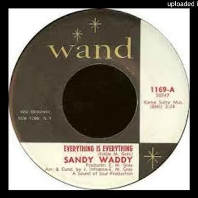  - Sandy Waddy