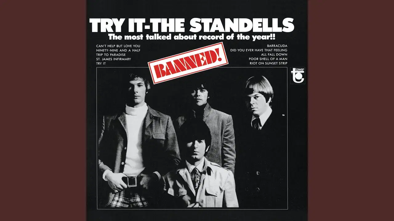 Try It (Mono Version) - The Standells