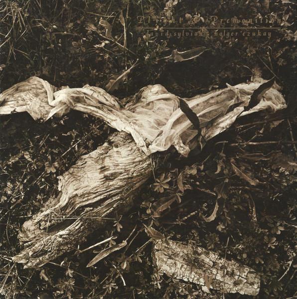 Plight & Premonition / Flux & Mutability - David Sylvian & Holger Czukay