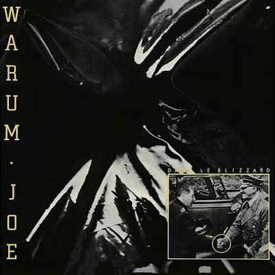 Dans Le Blizzard - Warum Joe
