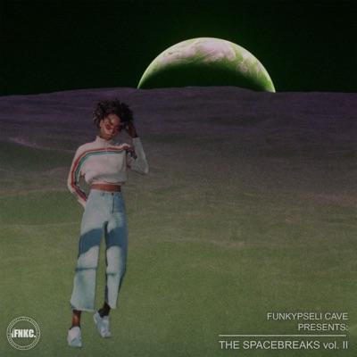 The Spacebreaks, Vol. 2 - Funki Flava