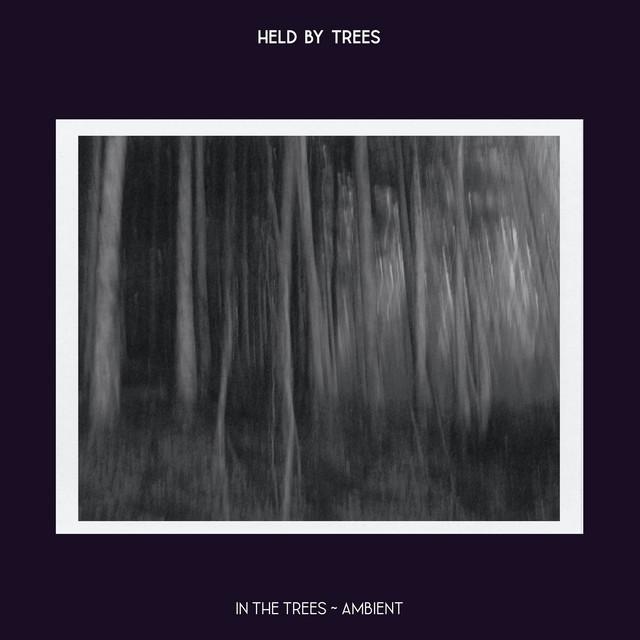 In the Trees (Ambient) - Held By Trees