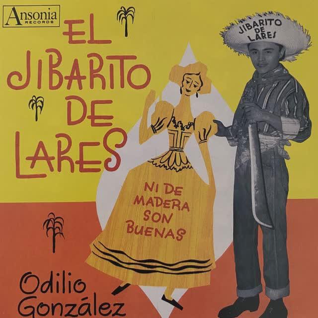 Ni De Madera Son Buenas - Odilio González