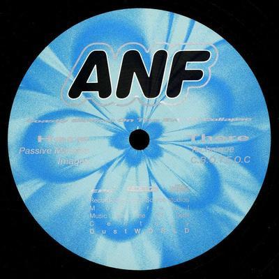 Costly Blooms On the Eve Of Collapse - ANF