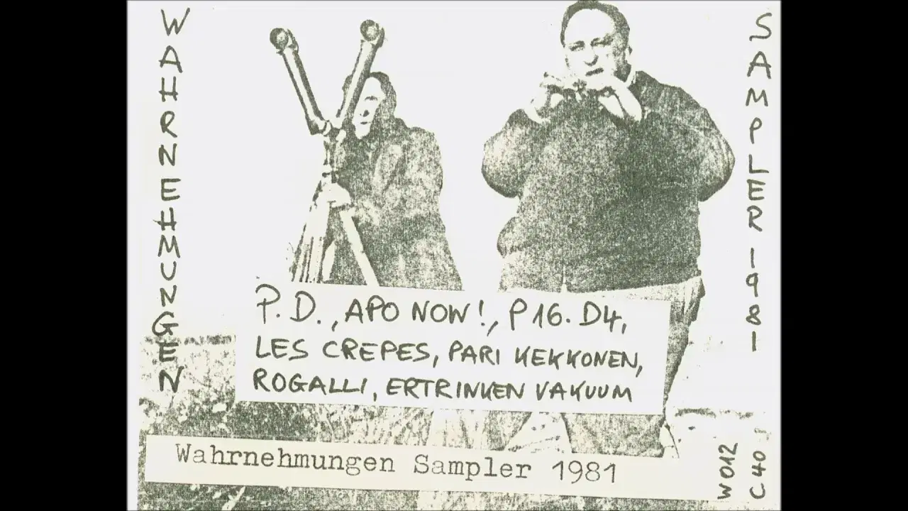 Wahrnehmungen Sampler 1 - Rogalli Revival Band