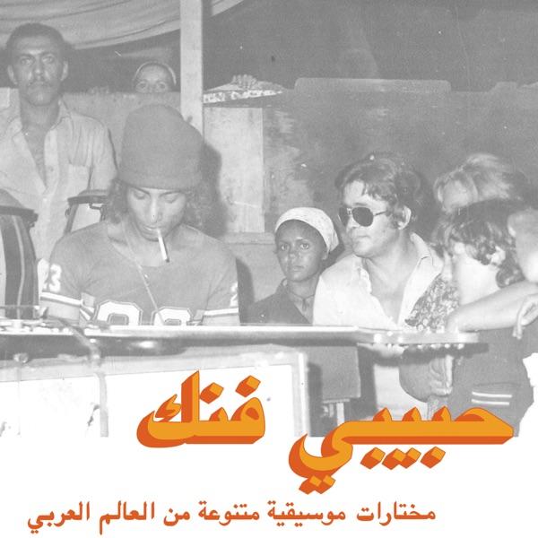 Habibi Funk: An Eclectic Selection of Music from the Arab World - Freh Kodja