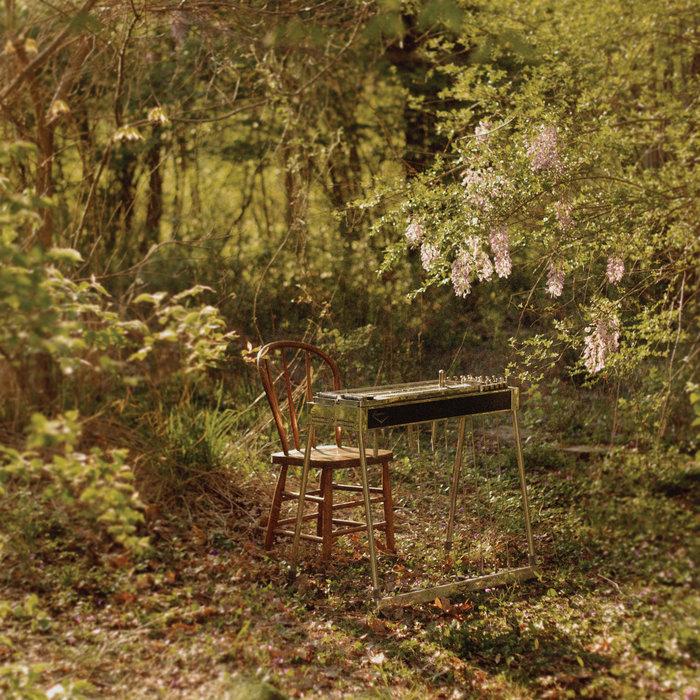 For Dancing in Quiet Light - Luke Schneider