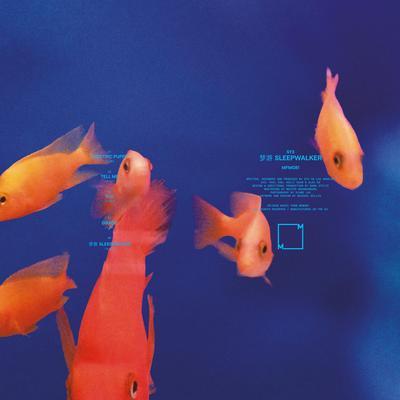 梦游 Sleepwalker - SY3