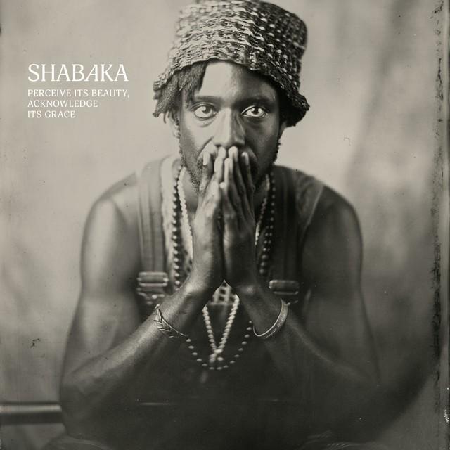 Perceive Its Beauty, Acknowledge Its Grace - Shabaka Hutchings