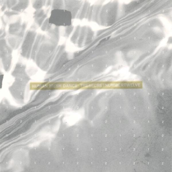 floating point - human mesh dance