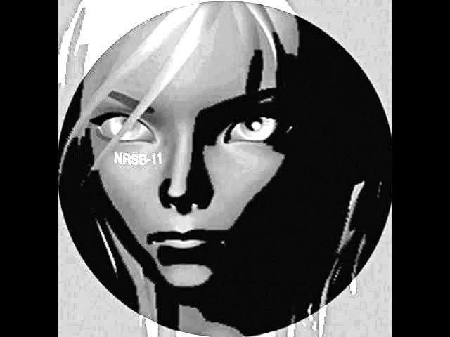 Commodified - NRSB‐11