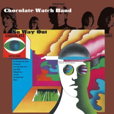  - Chocolate Watch Band