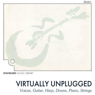 Guitars - Standard Music Library