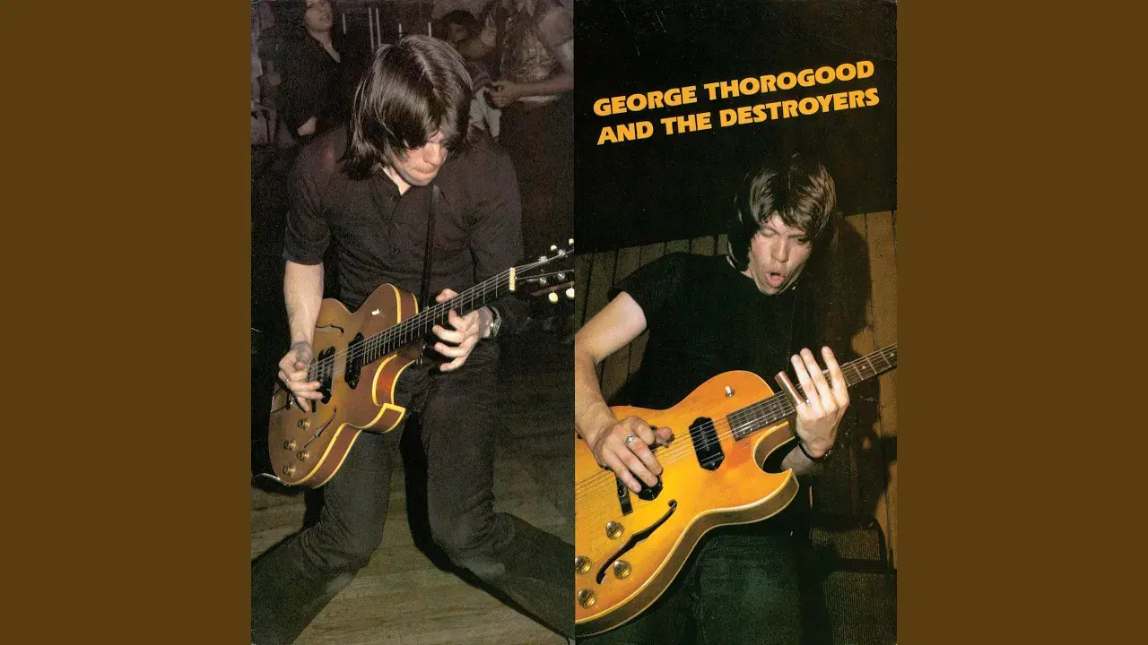 Steal This Disc - George Thorogood & The Destroyers