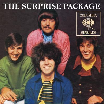  - The Surprise Package