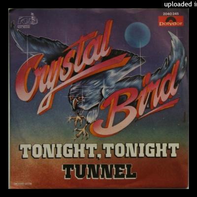 Disco Space Travels - Crystal Bird