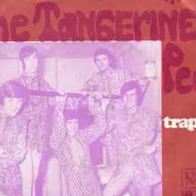 We Can Fly (Uk Psychedelic Obscurities Vol. 04) - The Tangerine Peel 