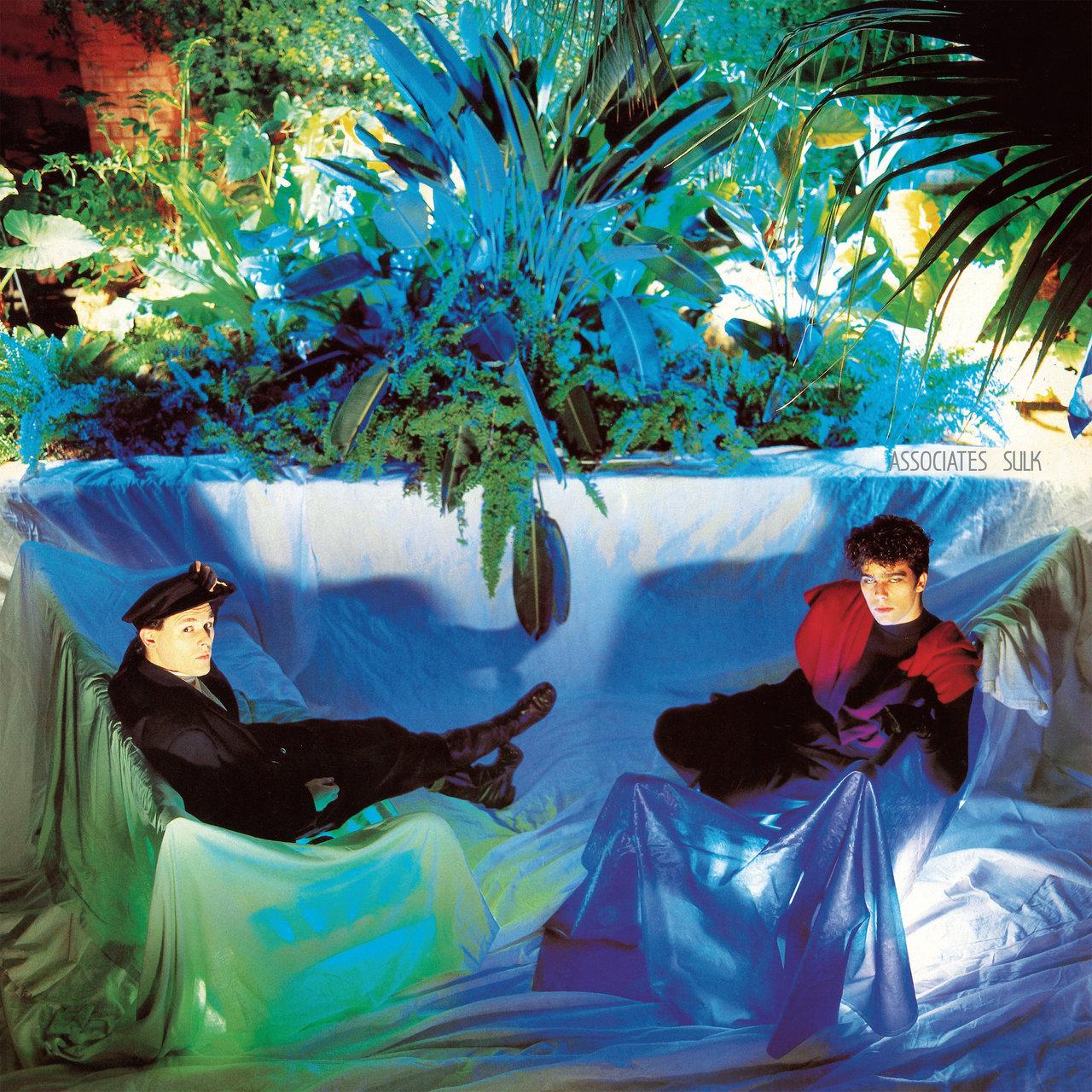 Sulk (40th Anniversary Edition) - The Associates