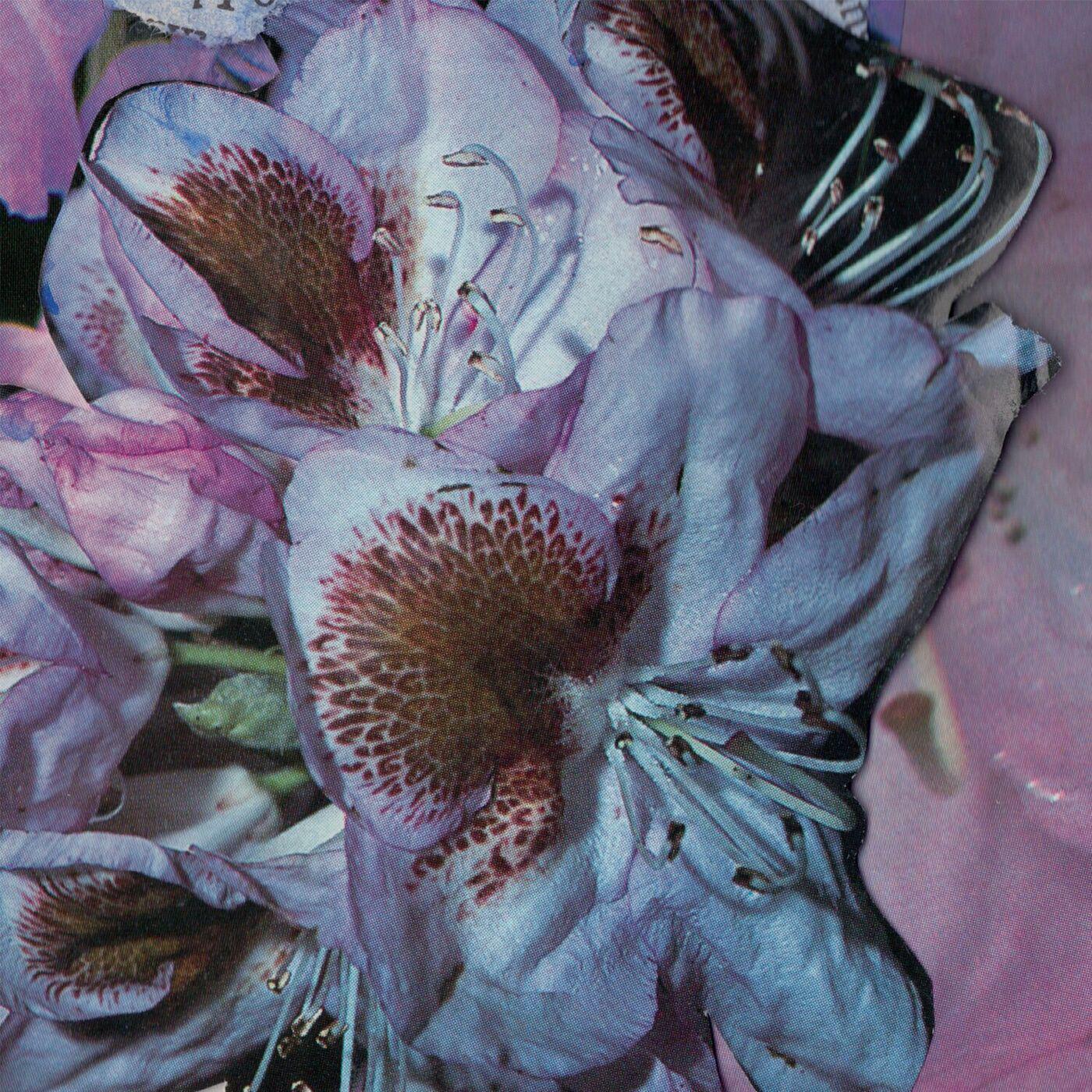 Proserpine - Teresa Winter