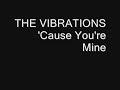  - The Vibrations