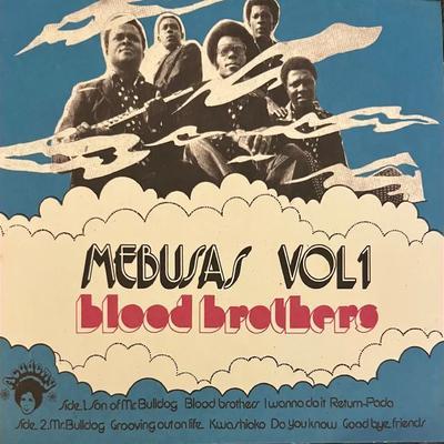 - The Mebusas