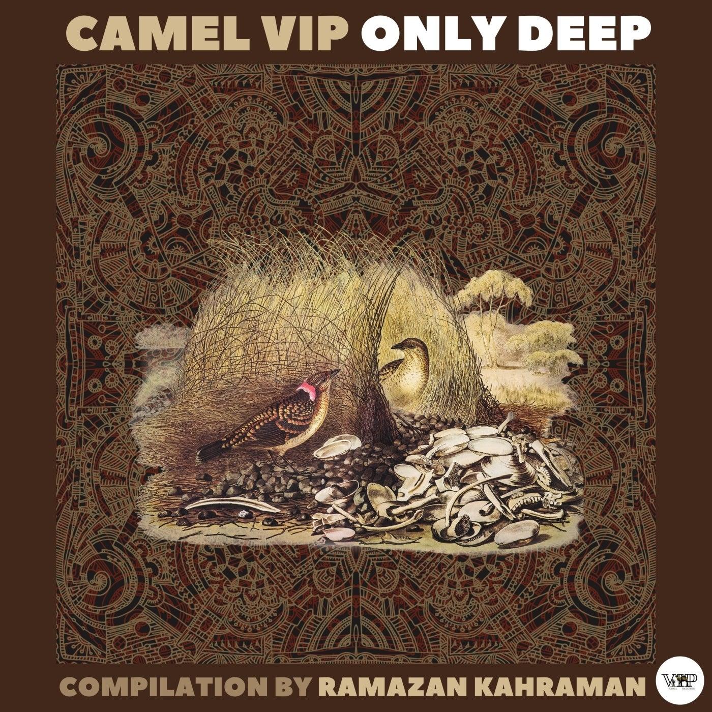 Camel VIP Only Deep (Compilation by Ramazan Kahraman) - NAYAIM, CamelVIP