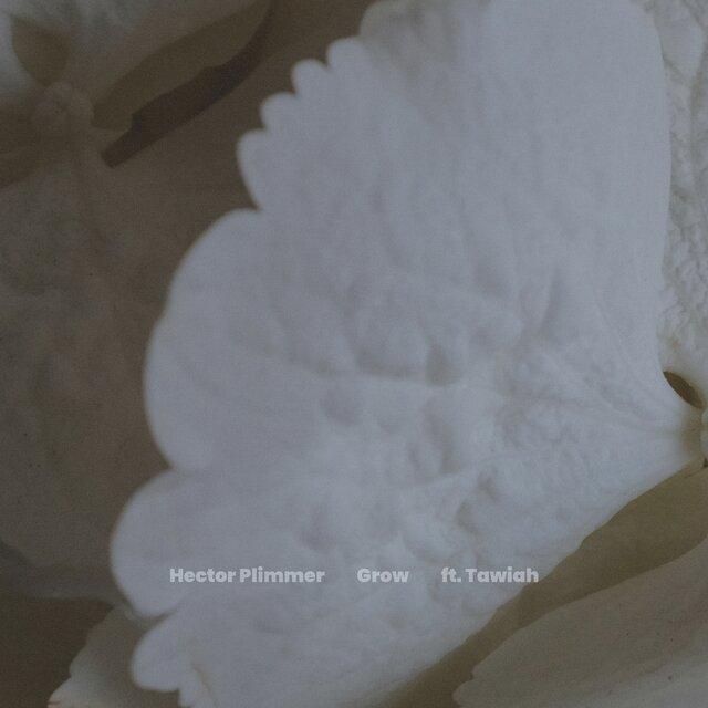 Grow - Hector Plimmer (feat. Tawiah & Marysia Osu)