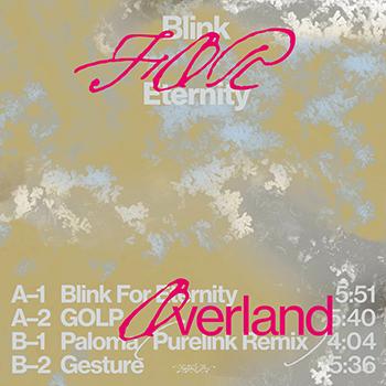 Blink For Eternity - Overland