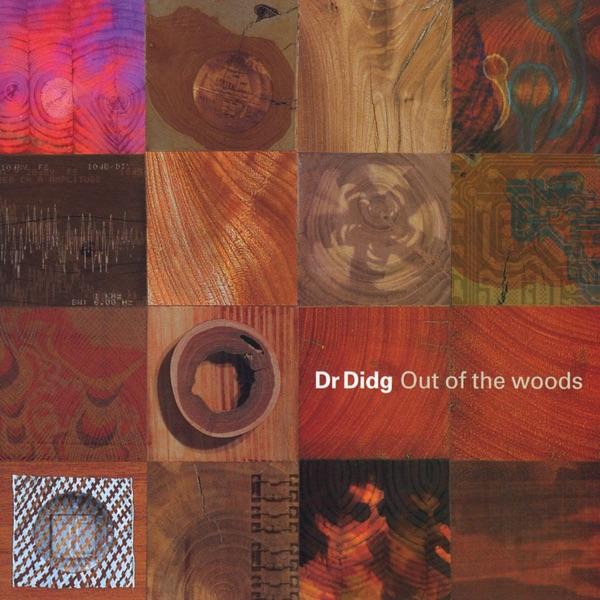 Street Music - Dr. Didg