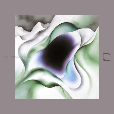 Spacious Heart - Anthony Calonico