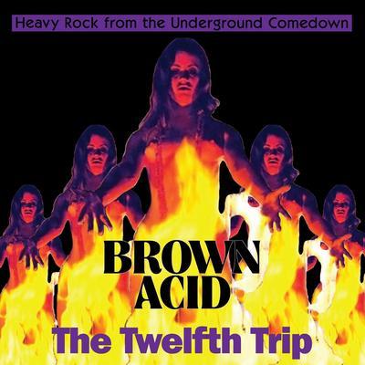 Brown Acid "The Twelfth Trip" - Village S.T.O.P.
