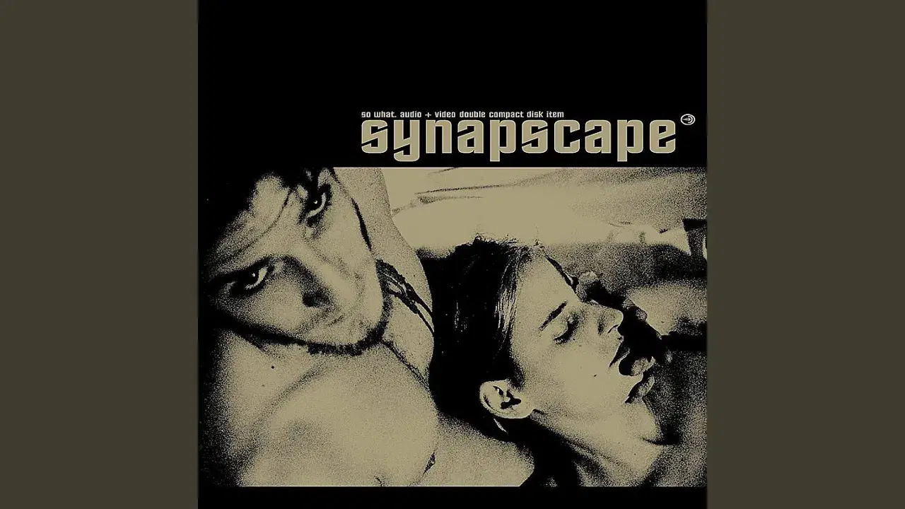 So What - Synapscape