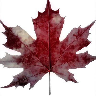 Oh Canada - Mackeeper