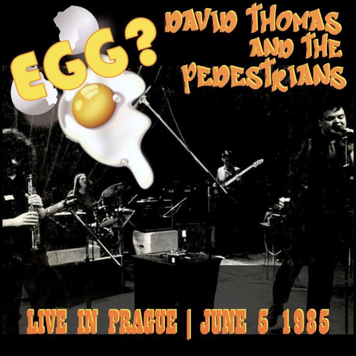 More Places Forever - David Thomas and The Pedestrians